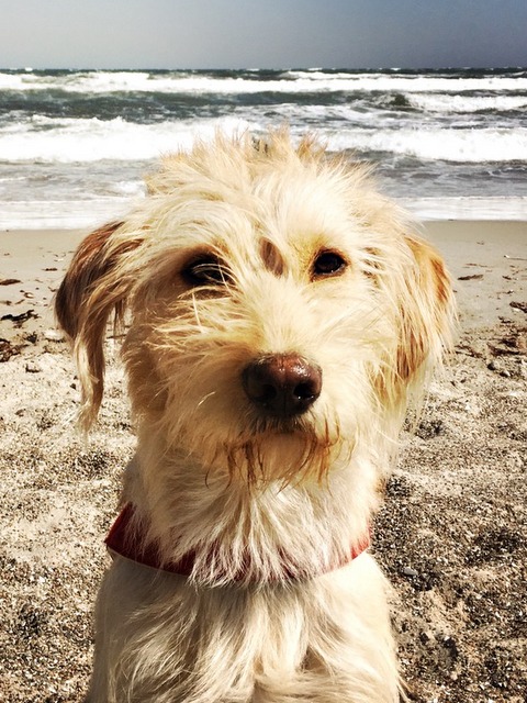 1 cid CADFDE06 5A55 49D5 BA03 E50BE205A491speedport