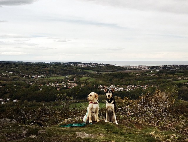 1 cid D623E008 4775 476C 90C3 C489CD9C9F6Dspeedport