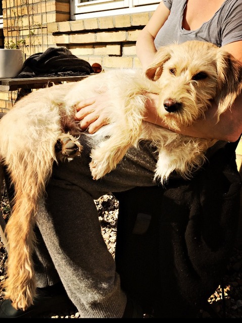 1 cid FB04A3E0 CD08 4289 AD92 C802441B223Dspeedport