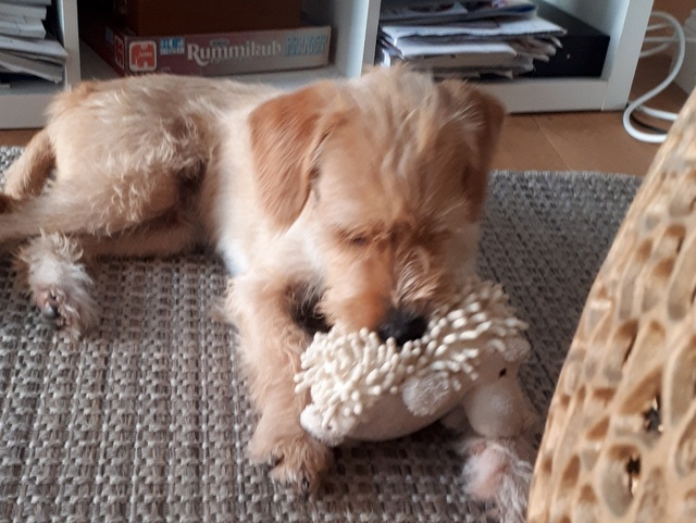 1 20191028 071615 resized 1