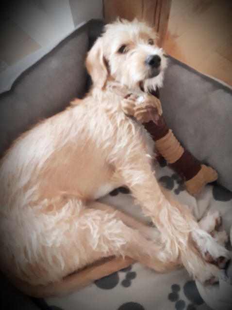 1 20191109 091624 resized 1