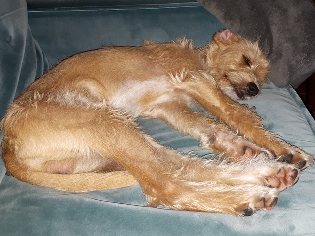 1 20191118 205420 resized 1