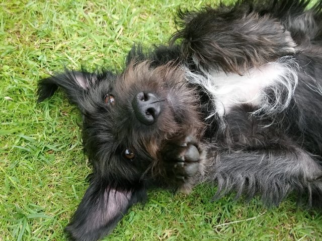 1 IMG 20200613 WA0011