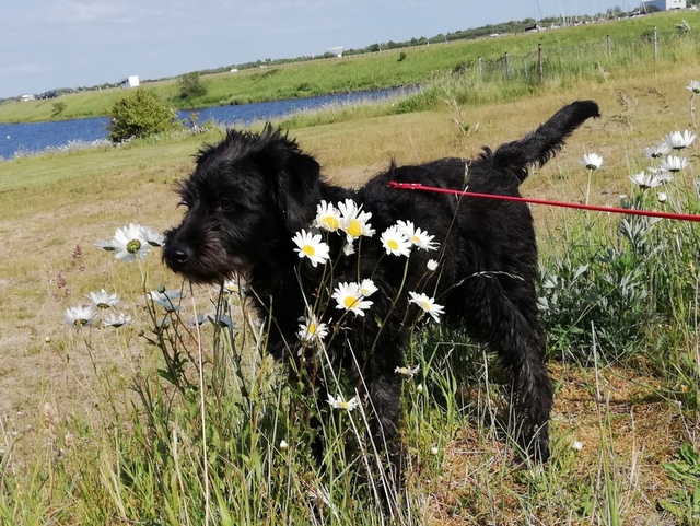 1 IMG 20200609 200914