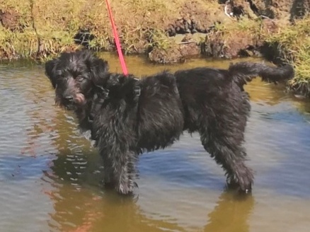 1 IMG 20200610 095322