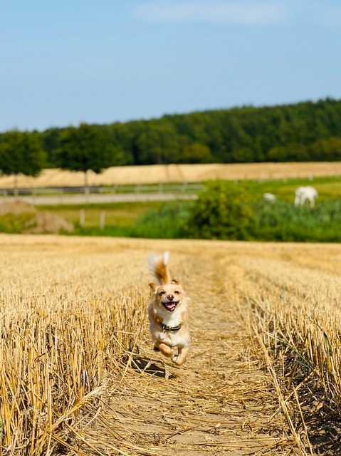 1 cid 1188CBDE C335 4F71 AF83 4DB944330F08fritz