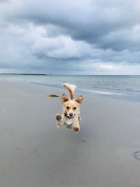 1 cid DF99845D 629E 4F24 A0DF 24AD3D2B092Dfritz