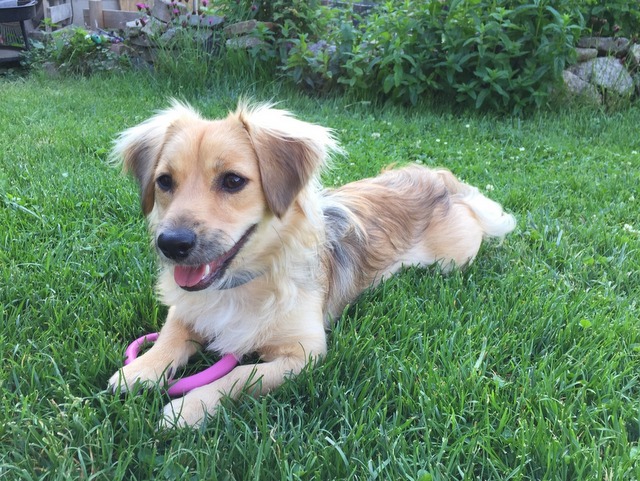 1 cid 8D304102 EDDF 4009 92E9 B54265EE5E35