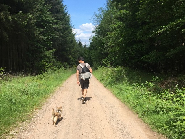 1 cid EA6878C0 2AA5 46C9 9DEF 5858739AC914