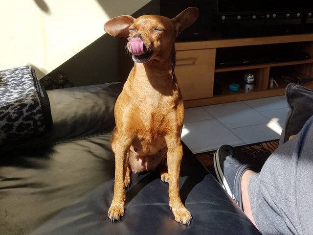 1 IMG 20200517 WA0010