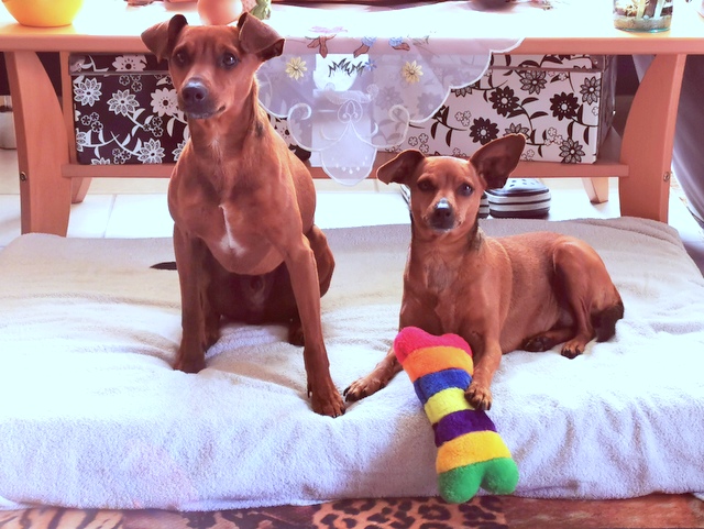 1 IMG 20200501 094059