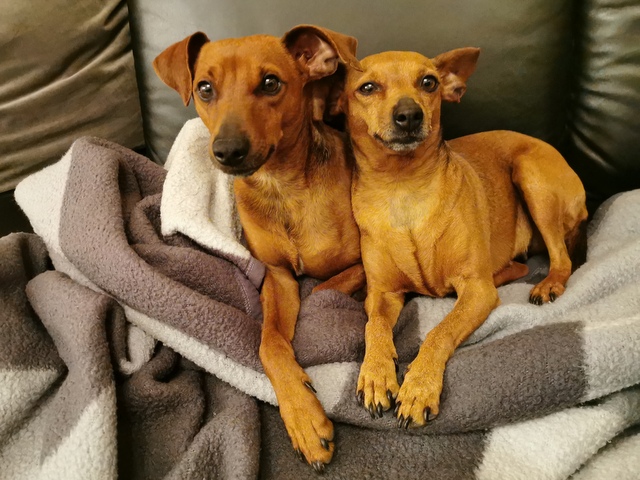 1 IMG 20200506 232513