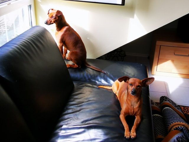 1 IMG 20200508 100621