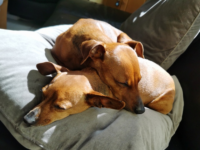 1 IMG 20200514 110611