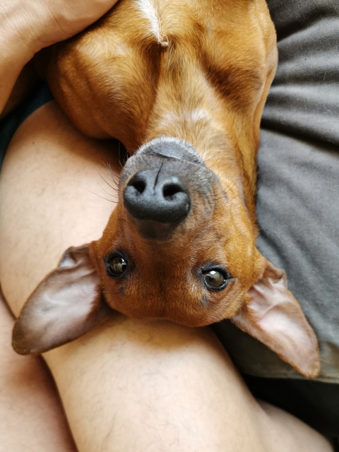 1 IMG 20200518 150735