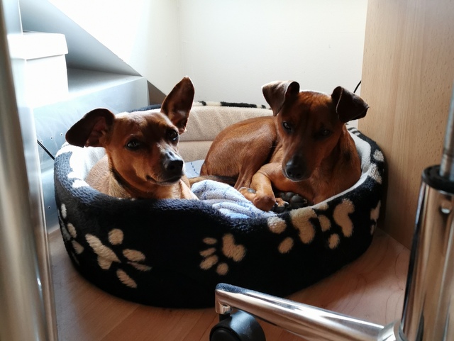 1 IMG 20200520 145013