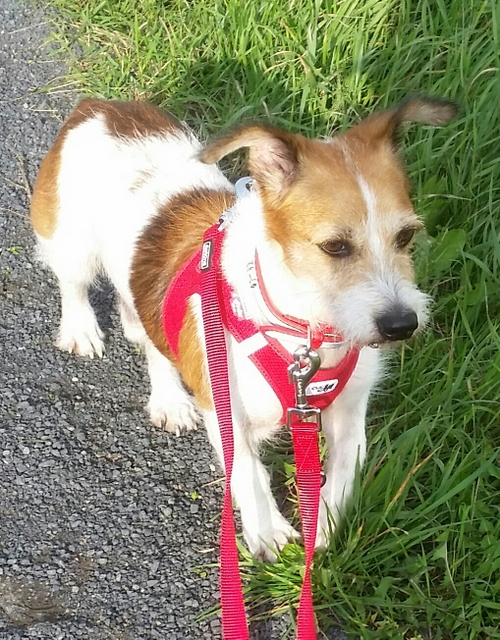 1 0 20191013 102434 1 1