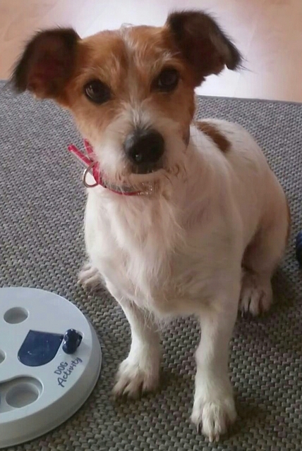 1 20191027 142440 236172 1 1 Kopie