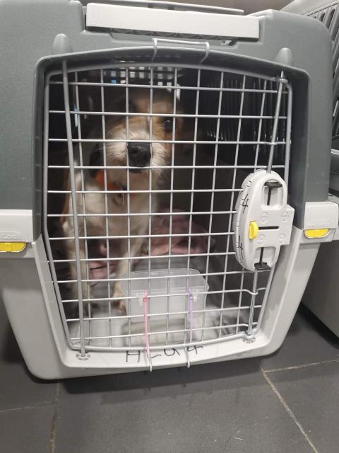 1 IMG 20191012 WA0000