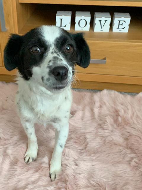 1 IMG 20200713 WA0009