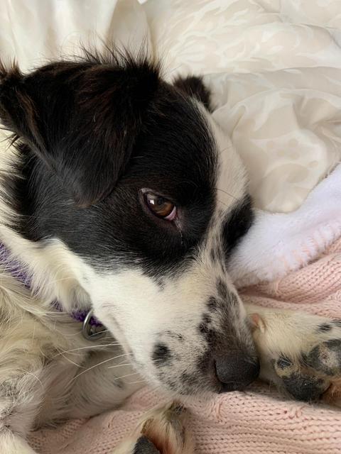 1 IMG 20200713 WA0010