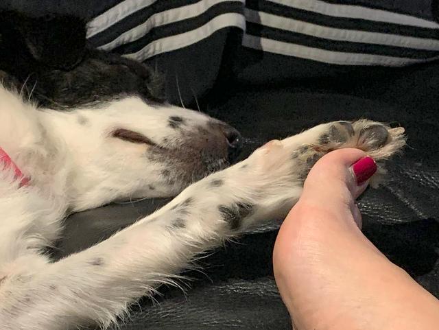 1 IMG 20200713 WA0011