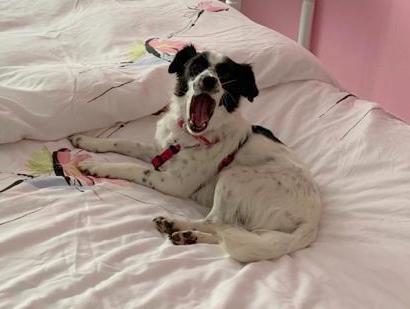 1 IMG 20200713 WA0013