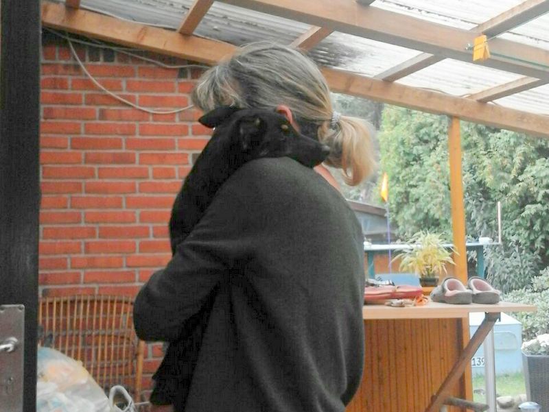 1 IMG 20150921 WA0062