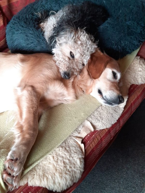 1 IMG 20210208 WA0001