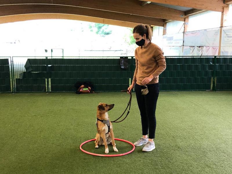 1 ad1dcda6 6839 48f7 b597 35bf553b1f31