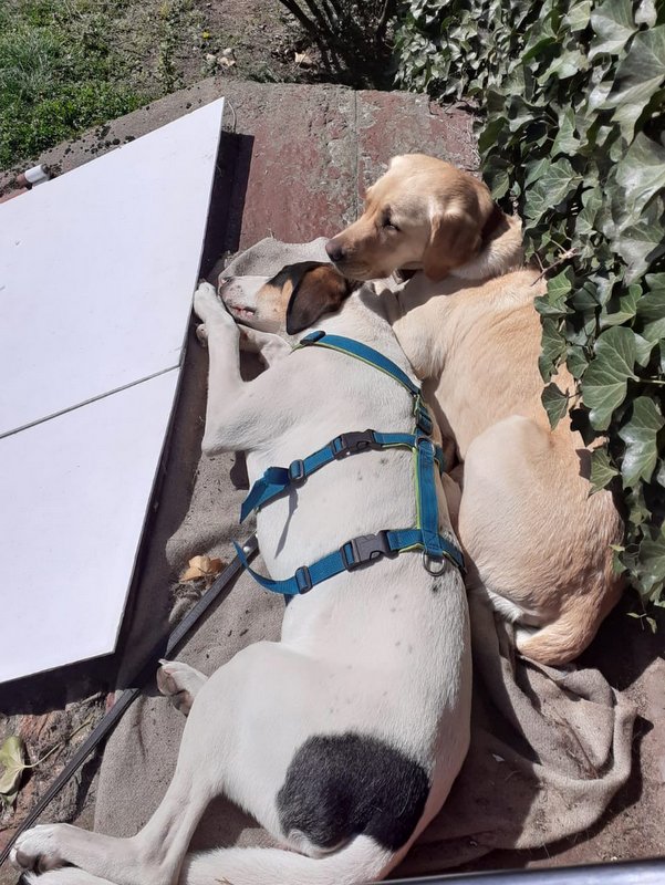 1 IMG 20210105 WA0007