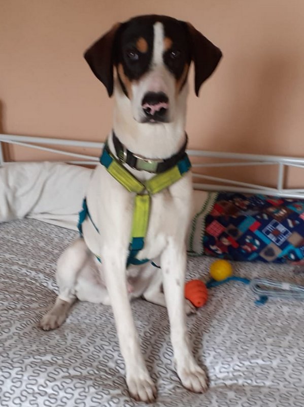 1 IMG 20210105 WA0009