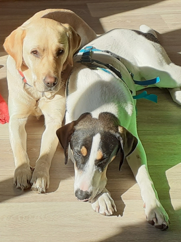 1 IMG 20210105 WA0010