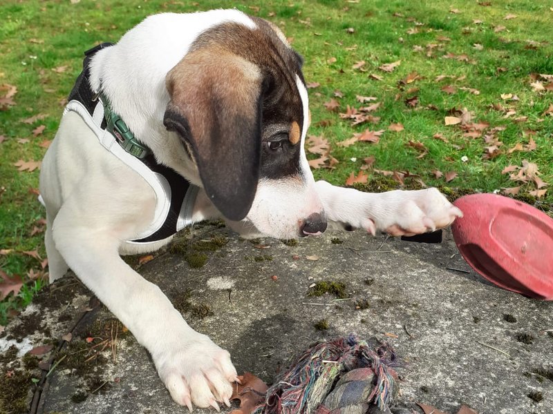 1 IMG 20210105 WA0022