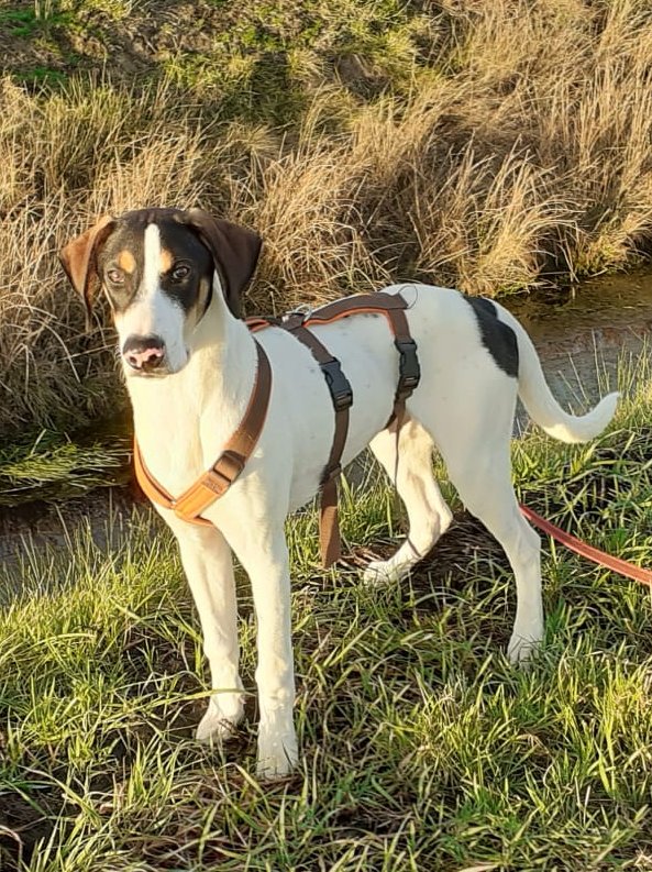 1 IMG 20210105 WA0028