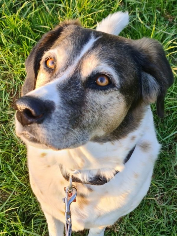 1 PHOTO 2021 05 03 19 42 18