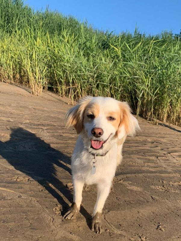 1 IMG 20200731 WA0027