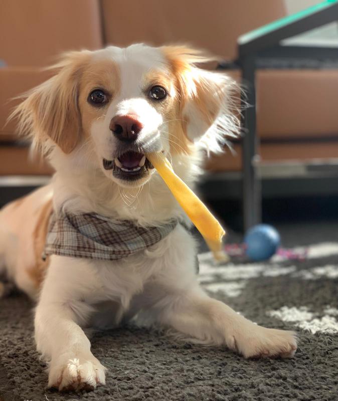 1 IMG 20201010 WA0028