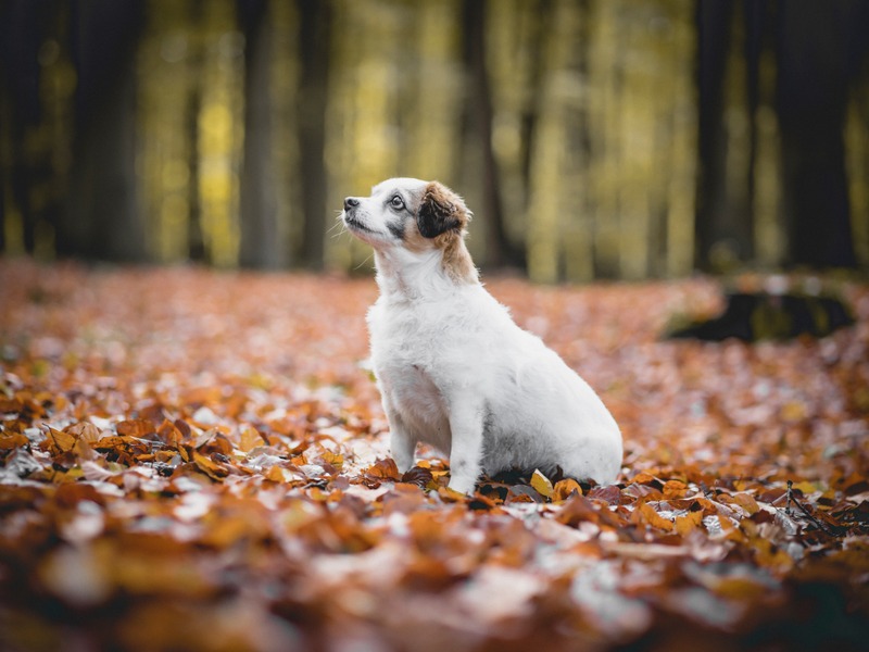 1 123431691 2829132304037443 1434949862756901462 n