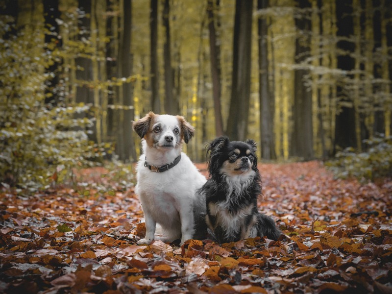 1 123495901 976264996200119 4466995330462878522 n