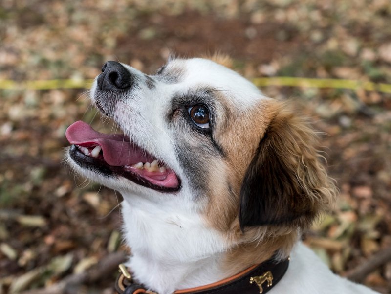 1 39388120 1868071836615240 7188540605025222656 n