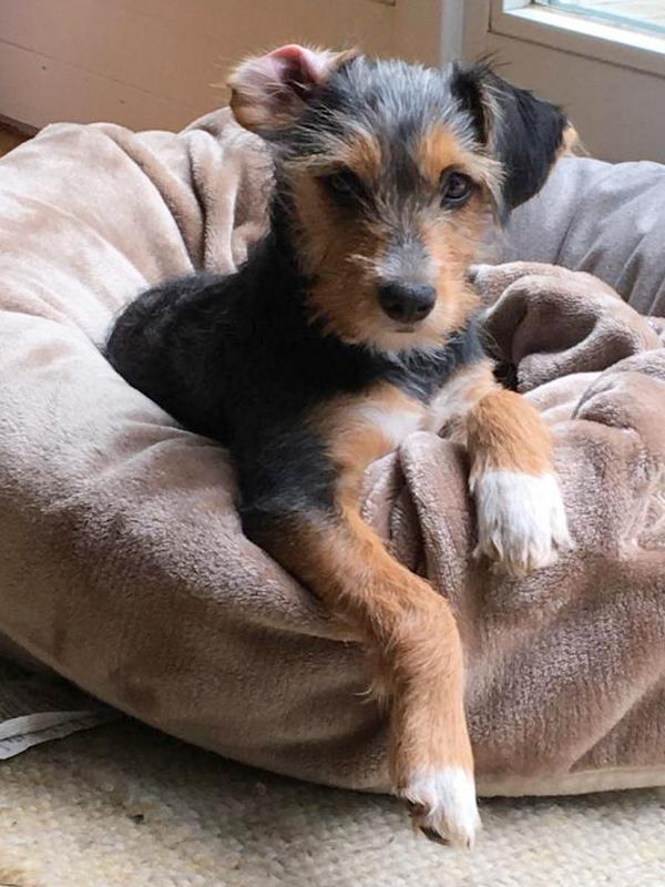 1 07 b0379451 a339 4e08 9808 7bb8303ab664