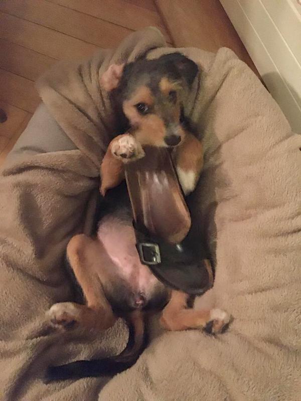 1 09 ad08821d ceac 4ea7 9521 8709d0978802