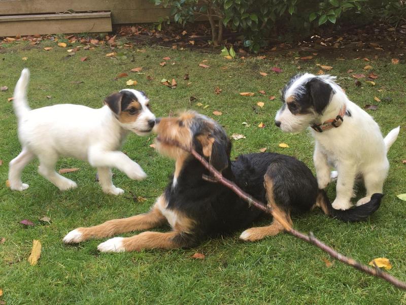 1 13 a84f16ca 06d0 47d1 8fb0 f25c14dc042c