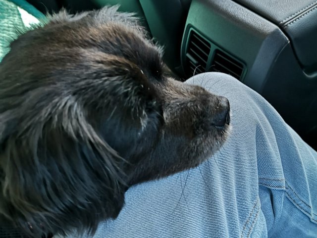 IMG 20210601 WA0005 001