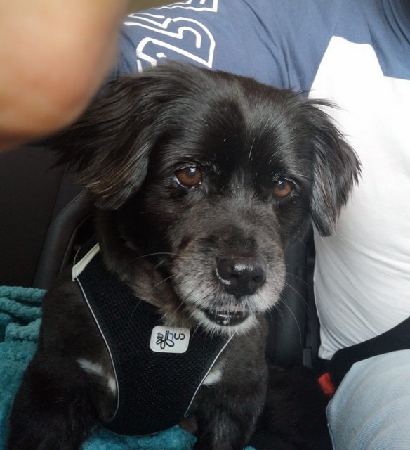 IMG 20210601 WA0006 002