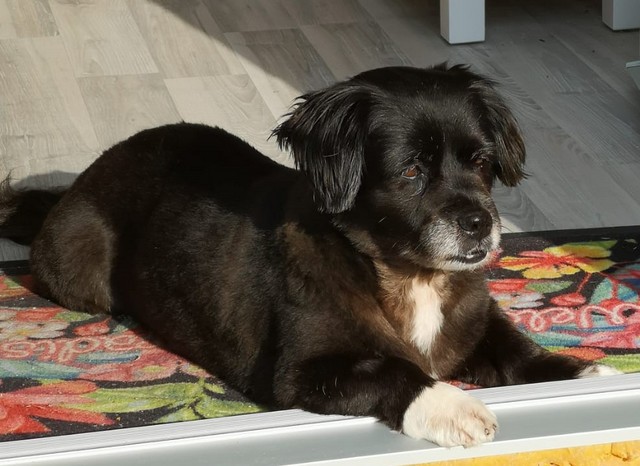 IMG 20210603 WA0002 002