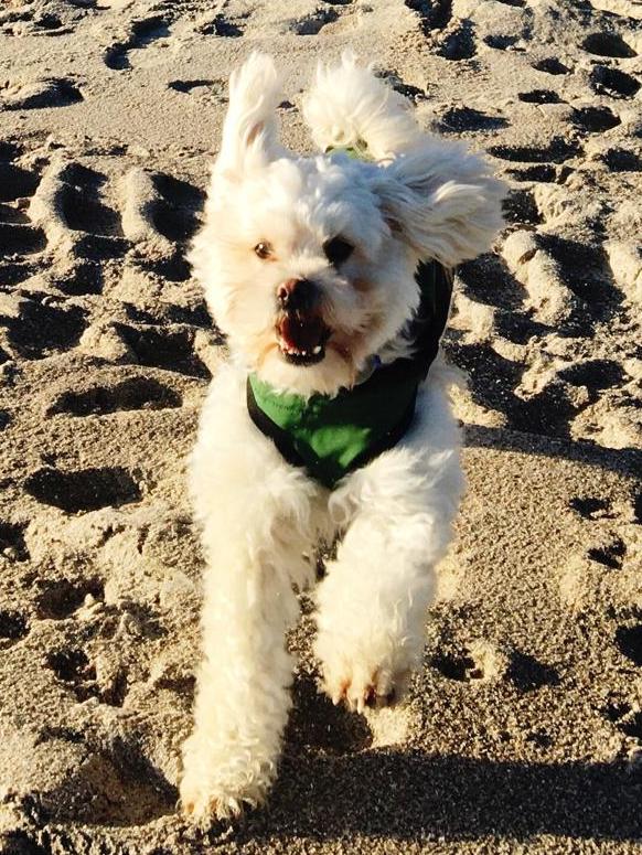 1 IMG 20191130 WA0005