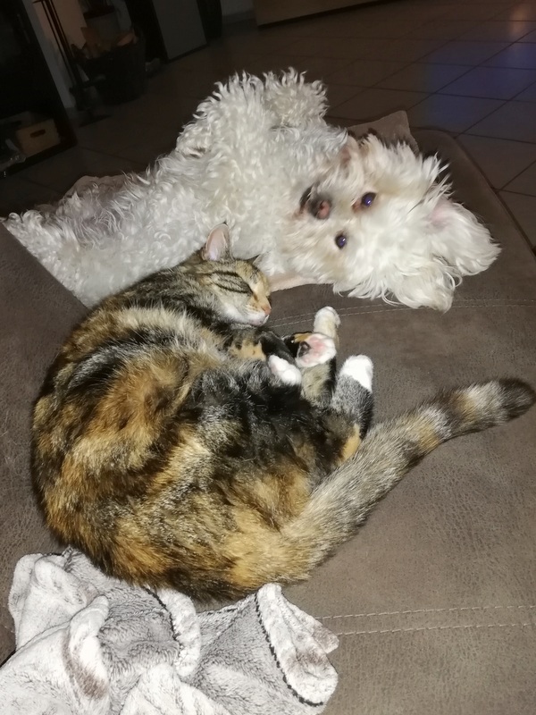 1 IMG 20200726 225029