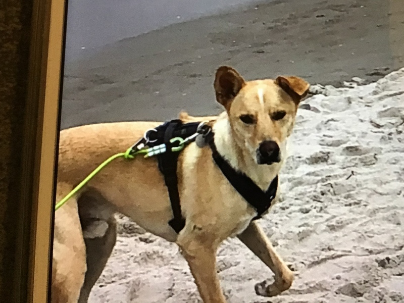 1 0EC0C2DD 3CBB 47D4 8708 871C527C8964